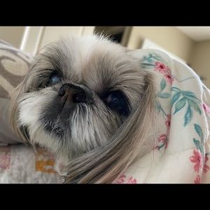 Meet your Posher, Kelly